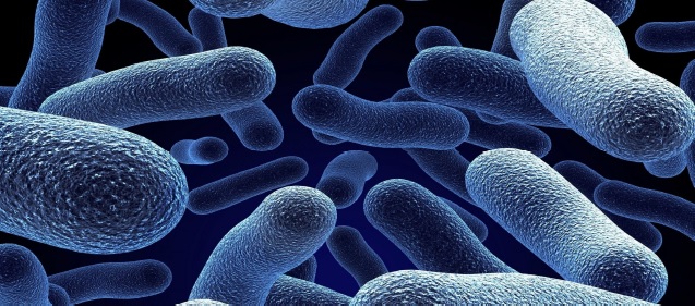 Trattamenti antibatterici per l’igiene da Kromoss