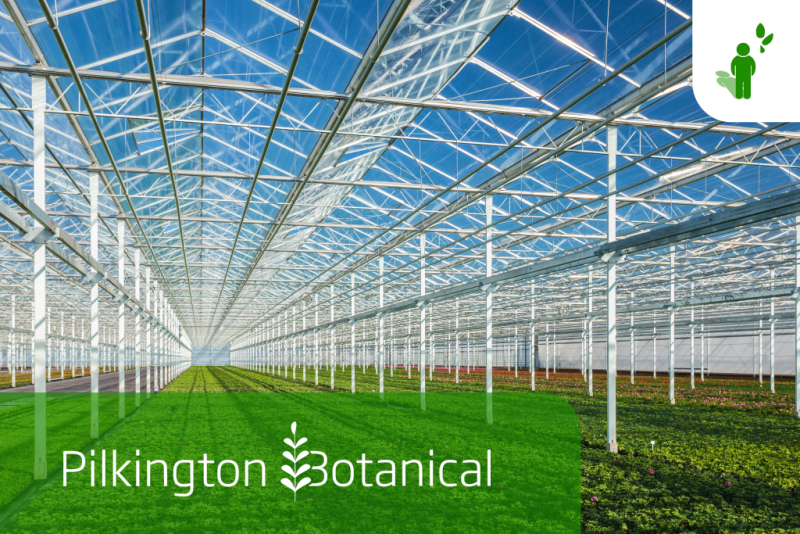 Pilkington Botanical, il vetro che favorisce le piante in serra