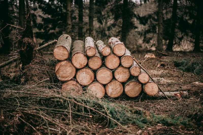 Legno arredo, il 2021 anno record, grazie anche ai bonus