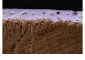 Uno dei problemi delle finiture per il legno, quando mal fatte